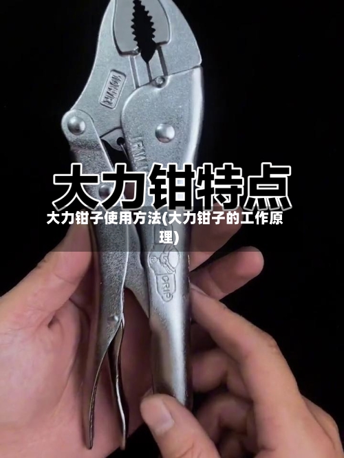 大力钳子使用方法(大力钳子的工作原理)-第2张图片