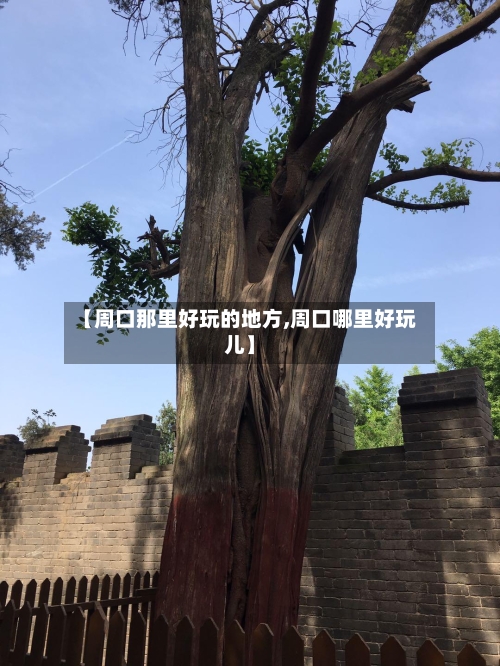 【周口那里好玩的地方,周口哪里好玩儿】