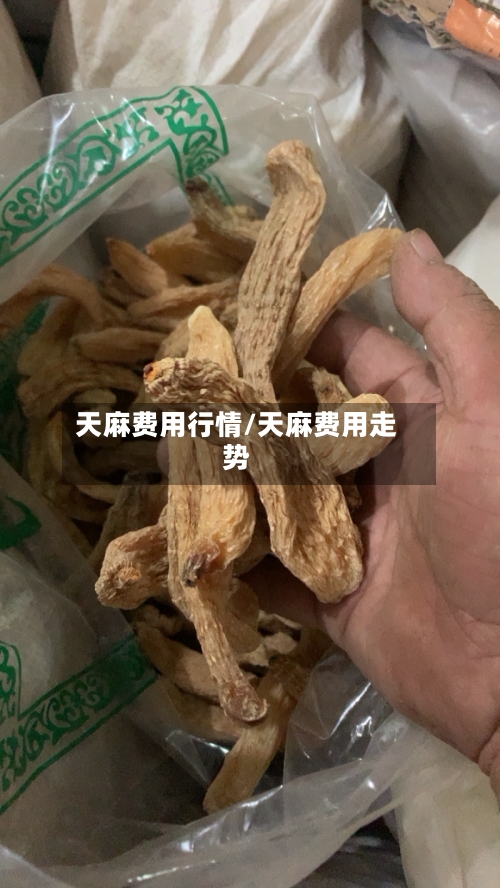 天麻费用行情/天麻费用走势