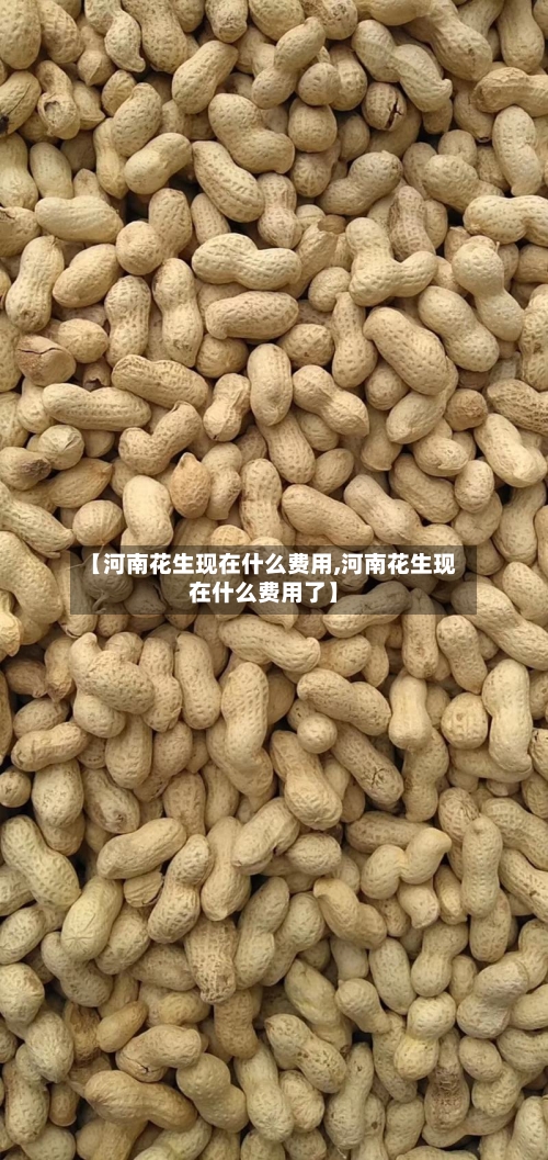【河南花生现在什么费用,河南花生现在什么费用了】-第2张图片