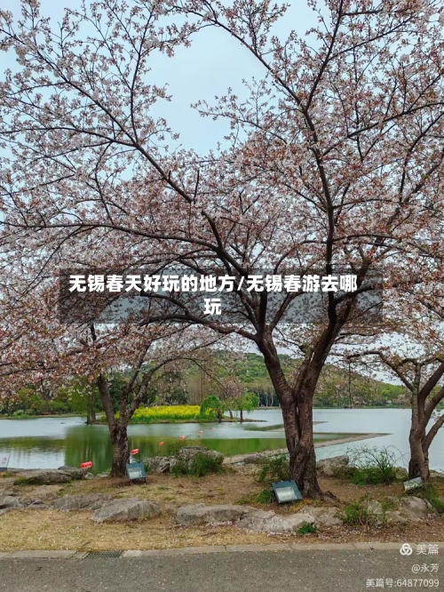 无锡春天好玩的地方/无锡春游去哪玩-第2张图片