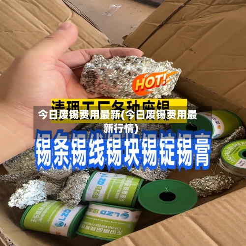 今日废锡费用最新(今日废锡费用最新行情)