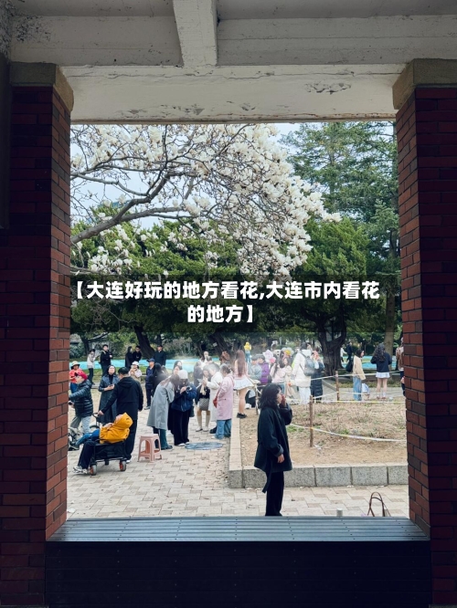 【大连好玩的地方看花,大连市内看花的地方】-第2张图片
