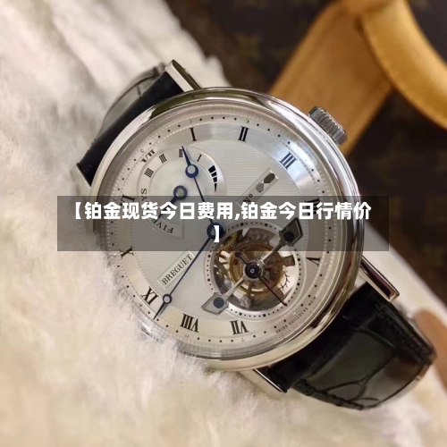 【铂金现货今日费用,铂金今日行情价】