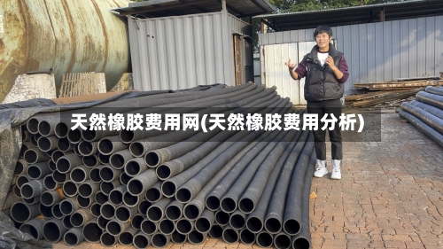 天然橡胶费用网(天然橡胶费用分析)