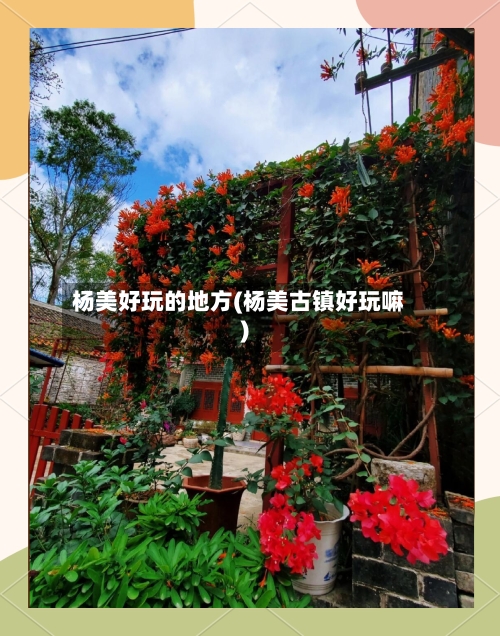 杨美好玩的地方(杨美古镇好玩嘛)