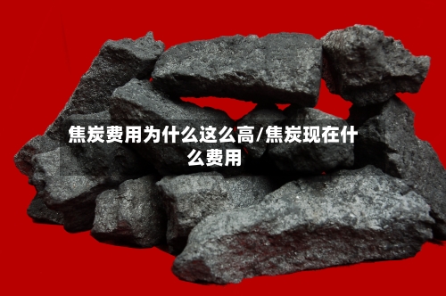 焦炭费用为什么这么高/焦炭现在什么费用-第3张图片