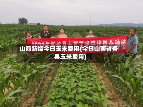 山西新绛今日玉米费用(今日山西省各县玉米费用)-第2张图片