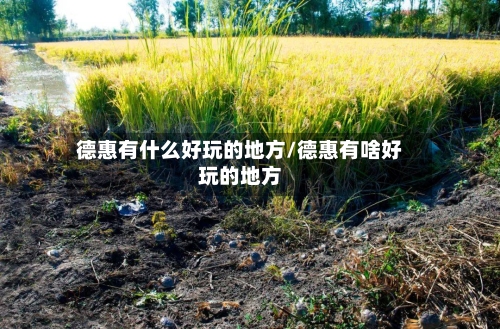 德惠有什么好玩的地方/德惠有啥好玩的地方-第2张图片