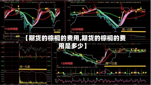 【期货的棕榈的费用,期货的棕榈的费用是多少】-第3张图片