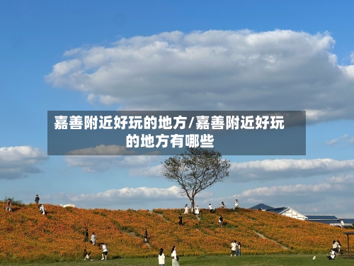 嘉善附近好玩的地方/嘉善附近好玩的地方有哪些-第2张图片