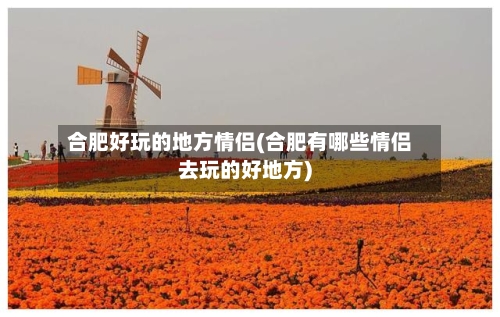 合肥好玩的地方情侣(合肥有哪些情侣去玩的好地方)-第3张图片