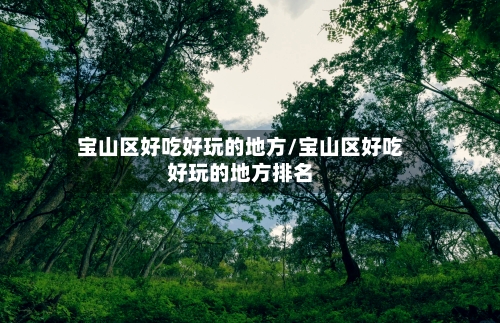 宝山区好吃好玩的地方/宝山区好吃好玩的地方排名-第3张图片