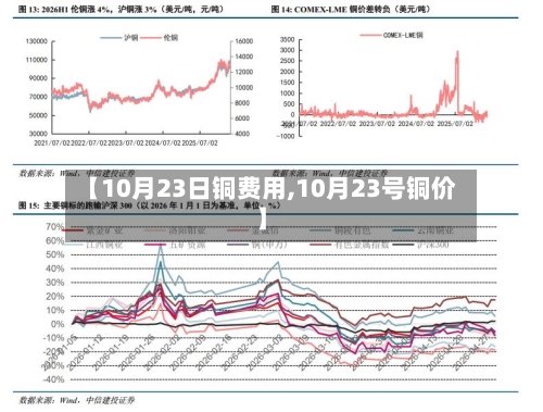 【10月23日铜费用,10月23号铜价】