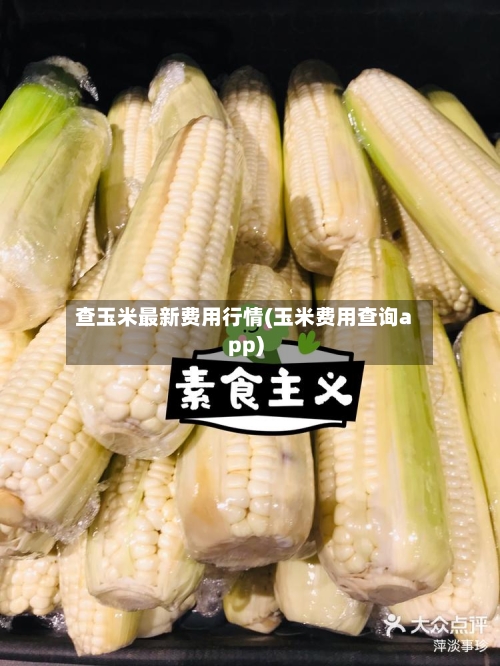 查玉米最新费用行情(玉米费用查询app)