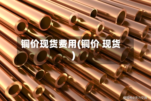 铜价现货费用(铜价 现货)