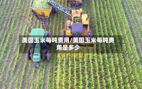 美国玉米每吨费用/美国玉米每吨费用是多少