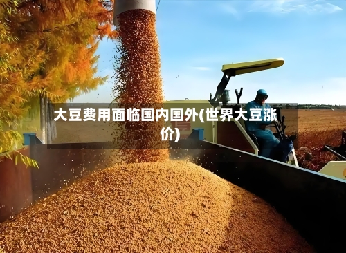 大豆费用面临国内国外(世界大豆涨价)-第3张图片