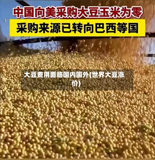 大豆费用面临国内国外(世界大豆涨价)-第2张图片