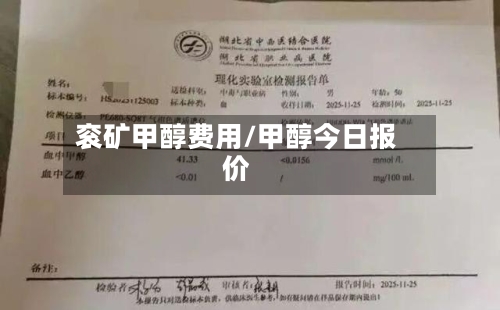 衮矿甲醇费用/甲醇今日报价-第2张图片