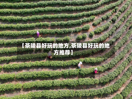 【茶陵县好玩的地方,茶陵县好玩的地方推荐】