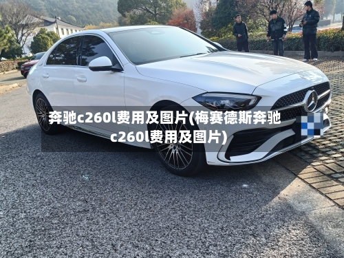 奔驰c260l费用及图片(梅赛德斯奔驰c260l费用及图片)-第1张图片