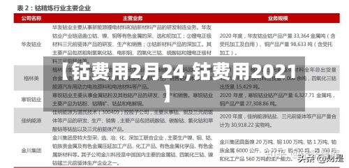 【钴费用2月24,钴费用2021】-第2张图片