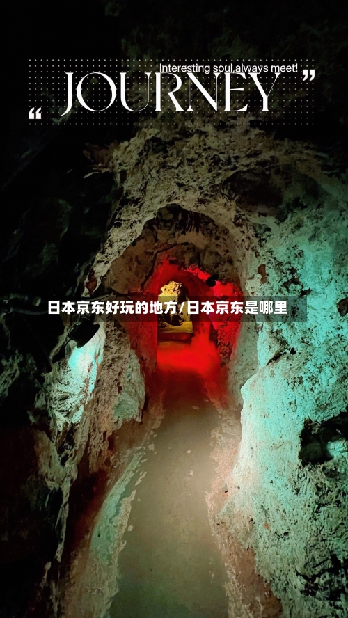 日本京东好玩的地方/日本京东是哪里-第2张图片