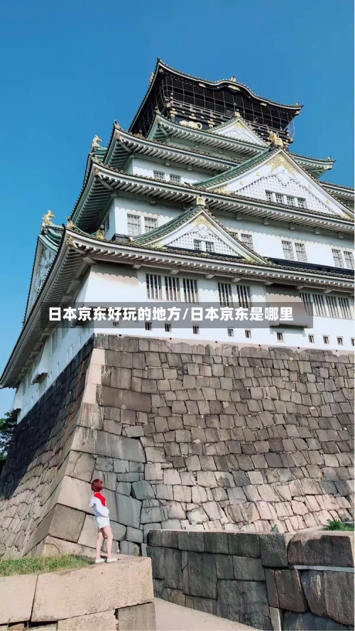 日本京东好玩的地方/日本京东是哪里