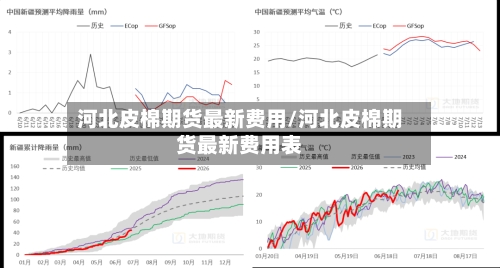 河北皮棉期货最新费用/河北皮棉期货最新费用表