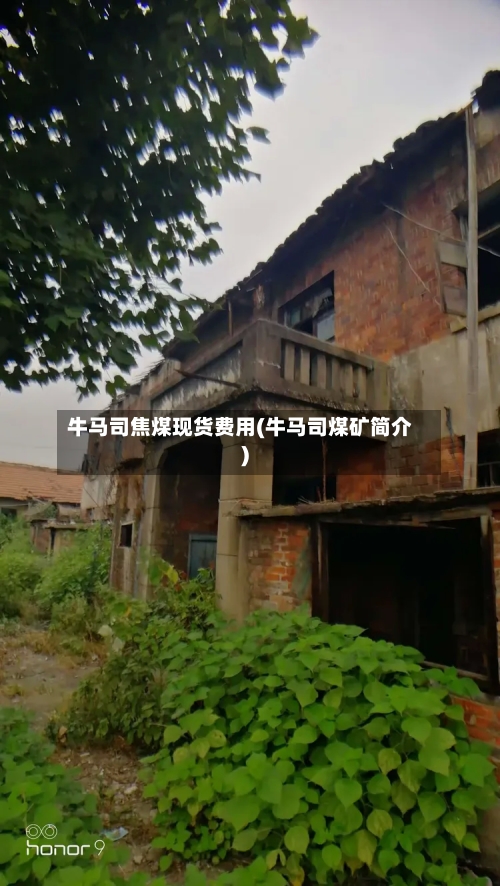 牛马司焦煤现货费用(牛马司煤矿简介)