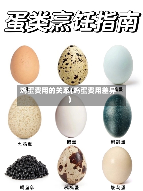 鸡蛋费用的关系(鸡蛋费用差异)