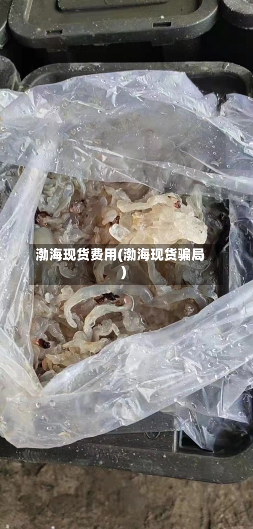渤海现货费用(渤海现货骗局)