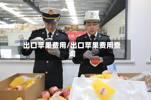 出口苹果费用/出口苹果费用查询-第3张图片