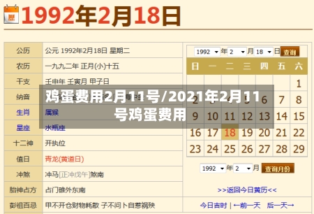 鸡蛋费用2月11号/2021年2月11号鸡蛋费用-第3张图片