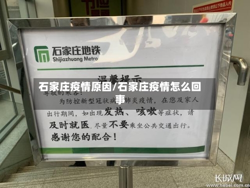 石家庄疫情原因/石家庄疫情怎么回事-第2张图片