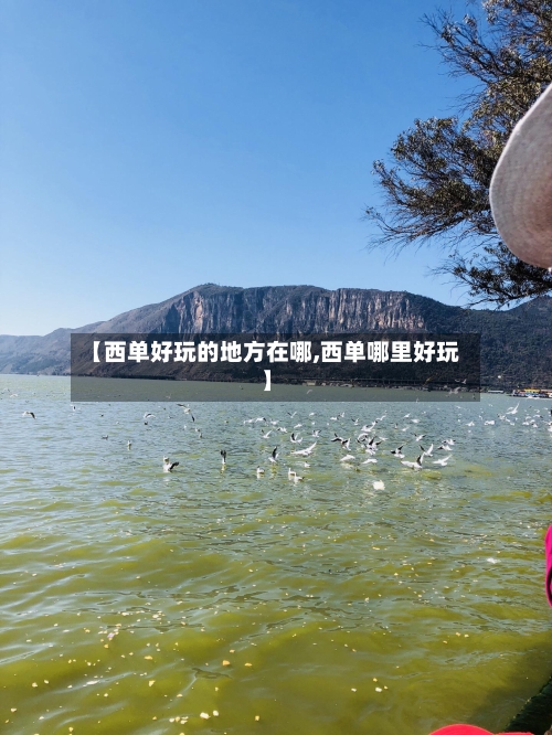 【西单好玩的地方在哪,西单哪里好玩】-第3张图片