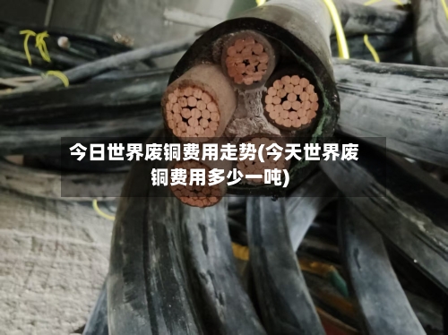 今日世界废铜费用走势(今天世界废铜费用多少一吨)