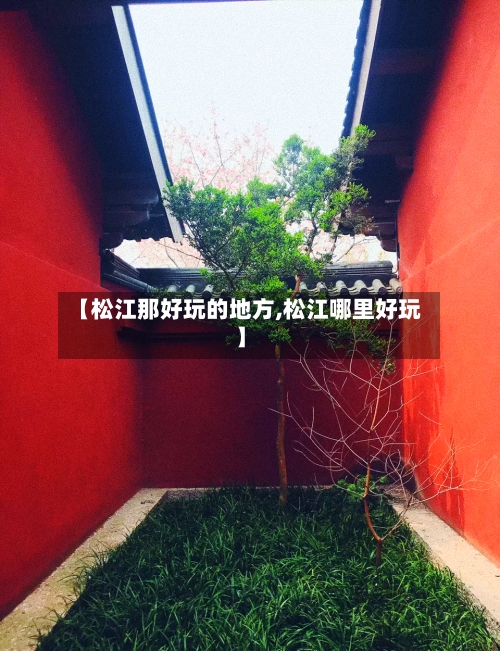【松江那好玩的地方,松江哪里好玩】-第2张图片
