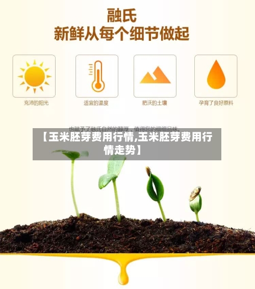【玉米胚芽费用行情,玉米胚芽费用行情走势】