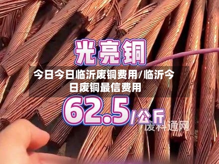 今日今日临沂废铜费用/临沂今日废铜最信费用-第2张图片