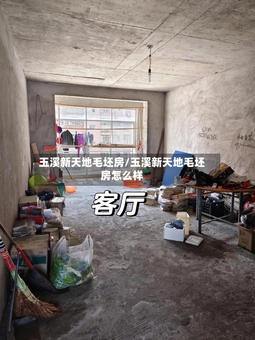 玉溪新天地毛坯房/玉溪新天地毛坯房怎么样