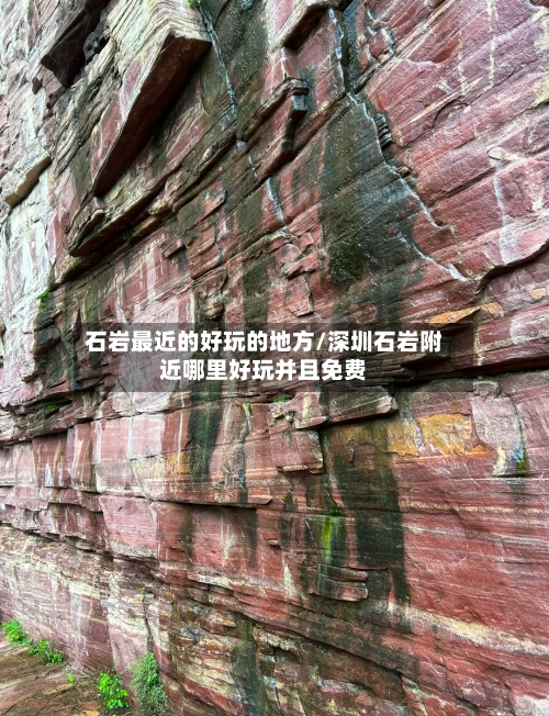石岩最近的好玩的地方/深圳石岩附近哪里好玩并且免费-第2张图片