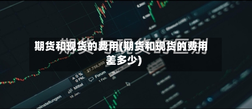 期货和现货的费用(期货和现货的费用差多少)-第2张图片