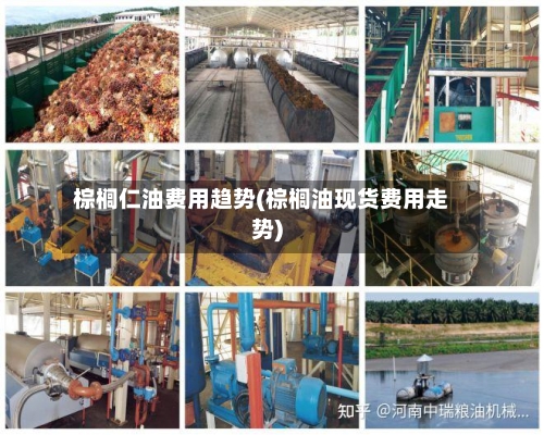 棕榈仁油费用趋势(棕榈油现货费用走势)