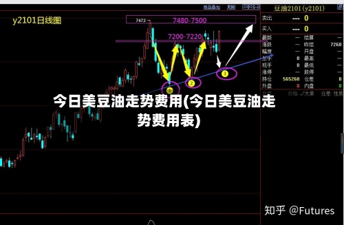 今日美豆油走势费用(今日美豆油走势费用表)