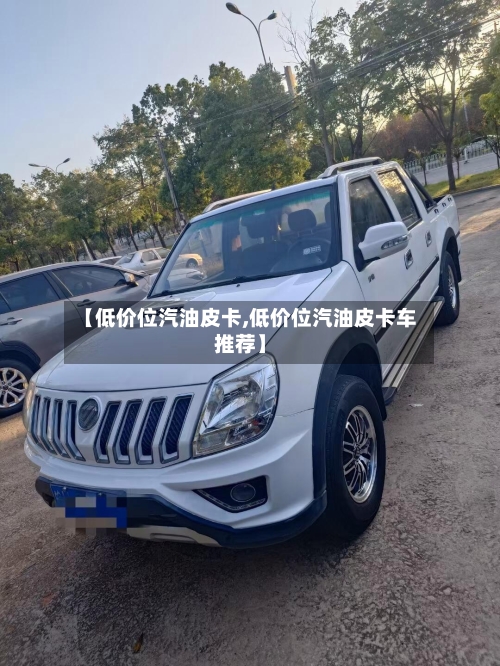 【低价位汽油皮卡,低价位汽油皮卡车推荐】