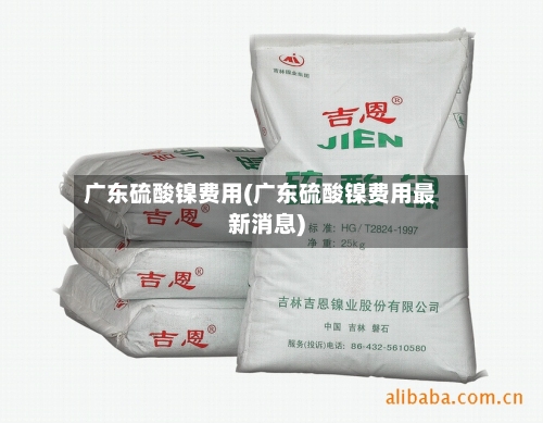 广东硫酸镍费用(广东硫酸镍费用最新消息)