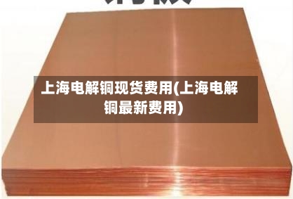 上海电解铜现货费用(上海电解铜最新费用)-第2张图片