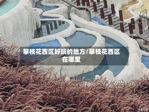 攀枝花西区好玩的地方/攀枝花西区在哪里-第2张图片